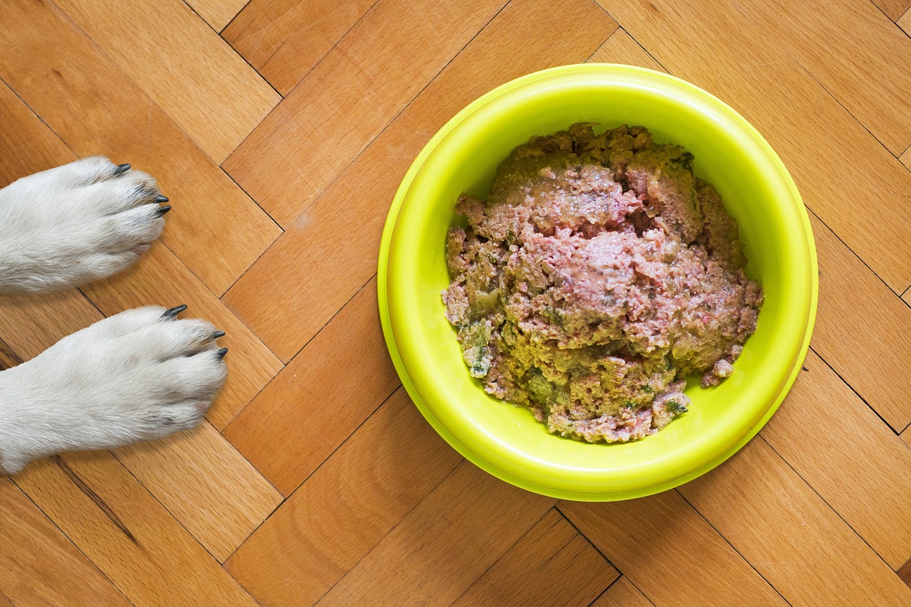 dog food, dog bowl, wet dog food